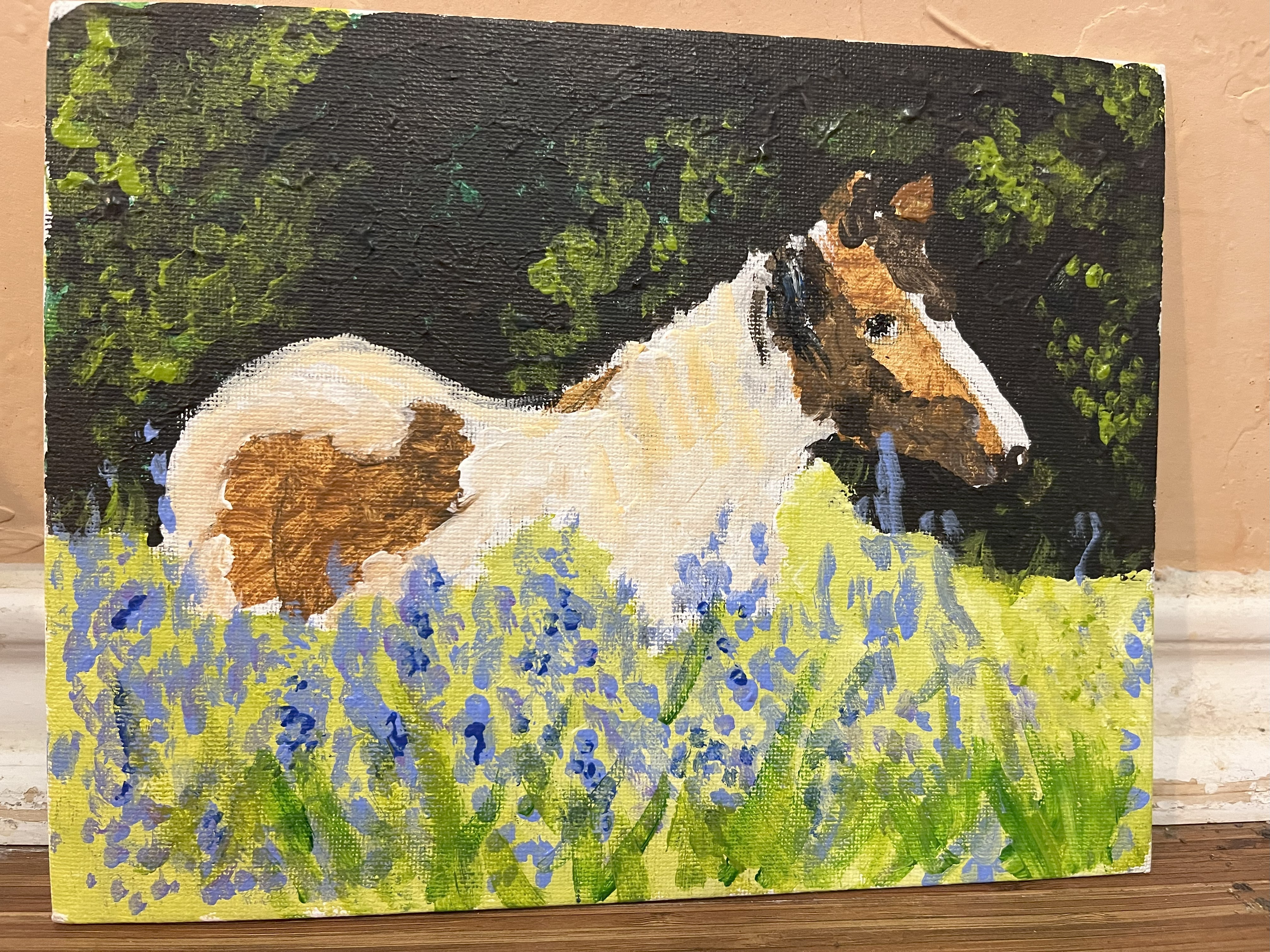 A pinto horse in a meadow